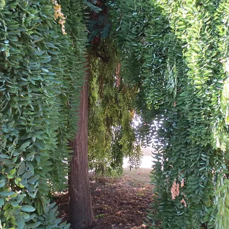 Au Petit Moulin Ferienhaus