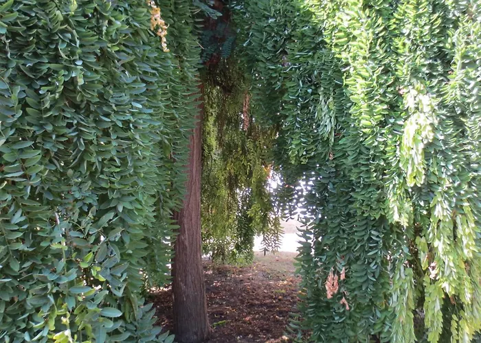 Au Petit Moulin Ferienhaus